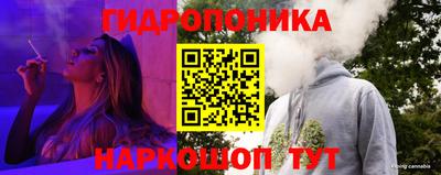 СК Абакан