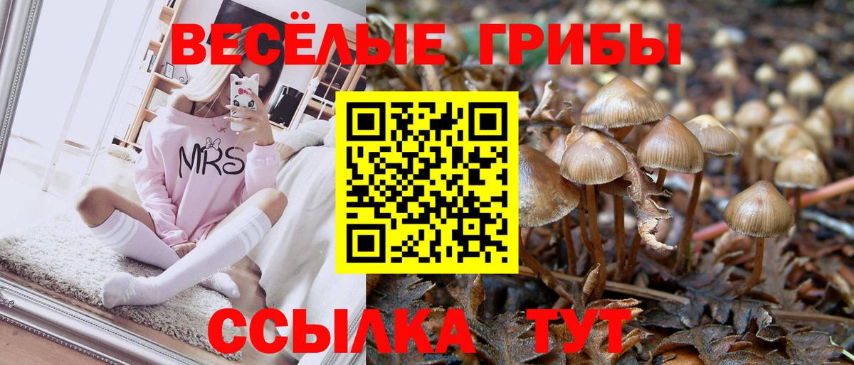 даркнет сайт  Вход с VPN  Алексин  Псилоцибиновые грибы Psilocybe 