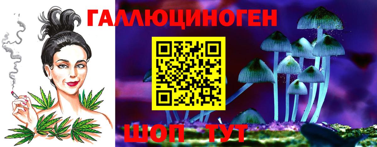 Псилоцибиновые грибы ЛСД Алексин